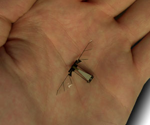 microrobotic fly